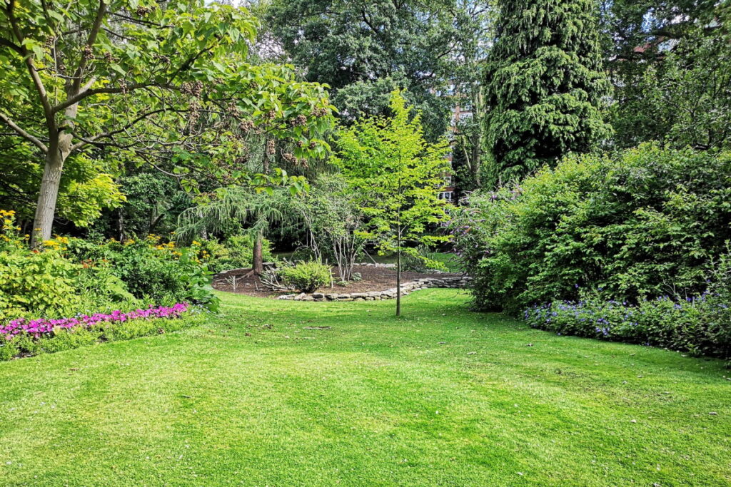Zadbaj o trawnik w swoim ogrodzie