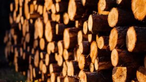 Wygrzej się przy kominku – o drewnie na opał